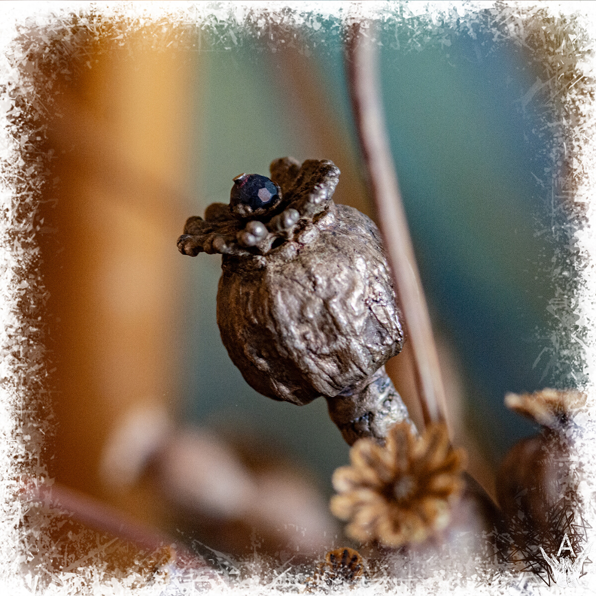 Silver poppies: poppy head made of silver plated copper with sapphire