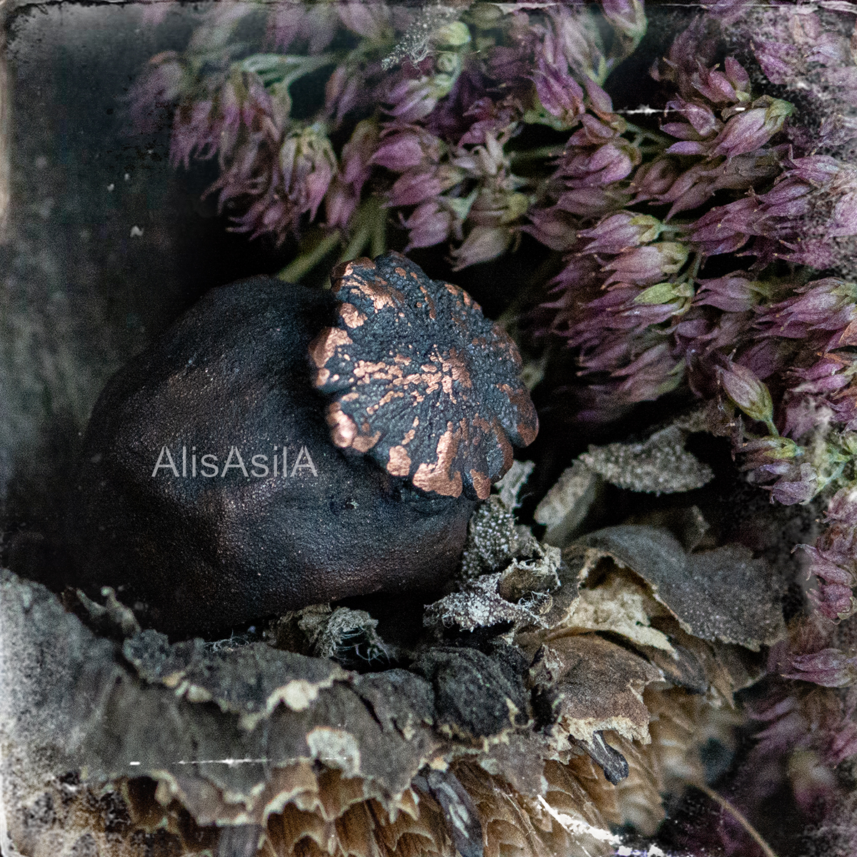 This content is the image: “Riddle” ring of copper electroforming poppy
