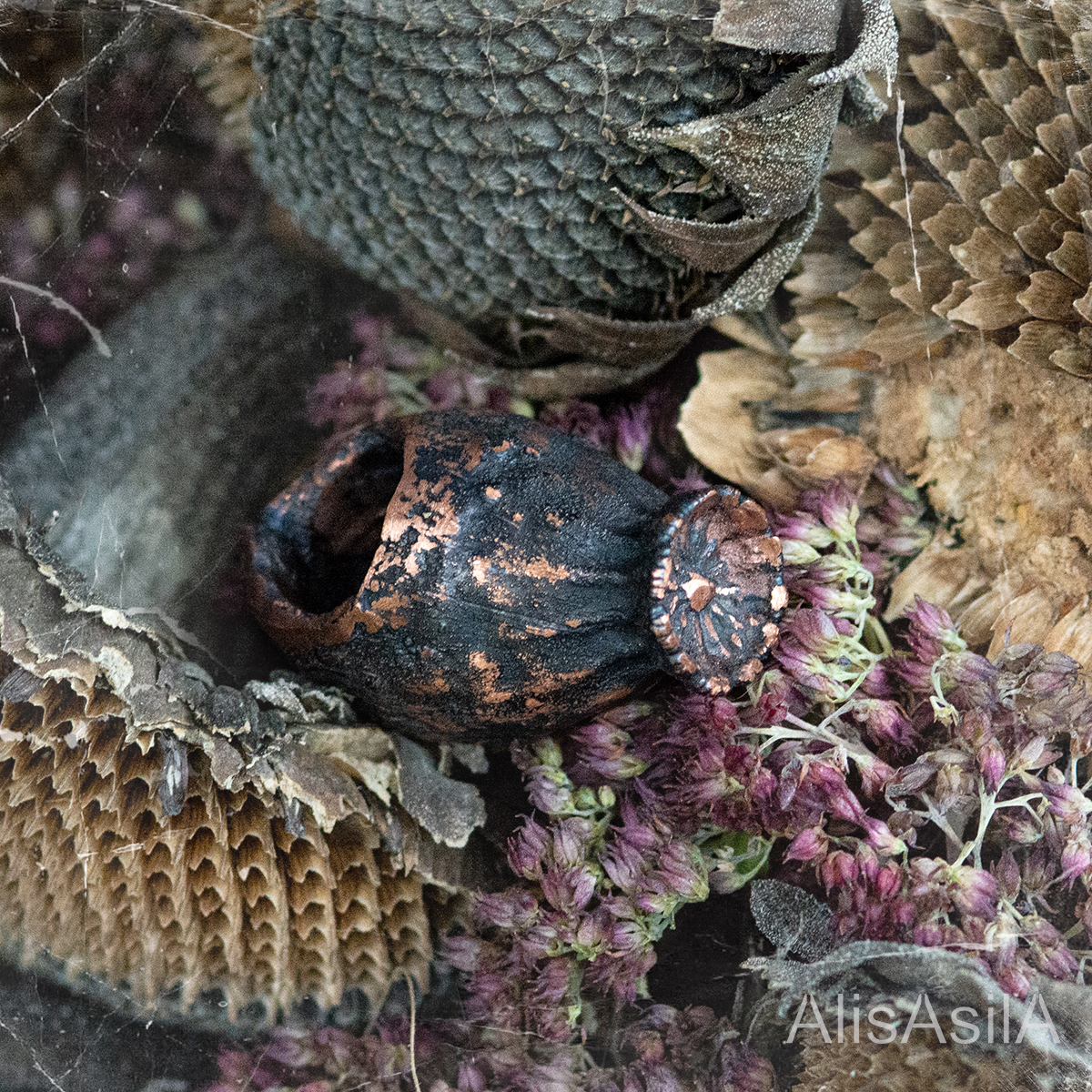 This content is the image: poppies jewelry, "Сhest” electroforming of copper