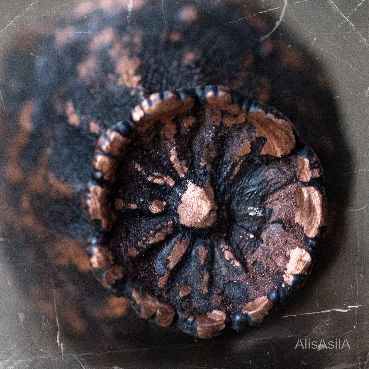 This content is the image: poppies jewelry, "Сhest”copper ring