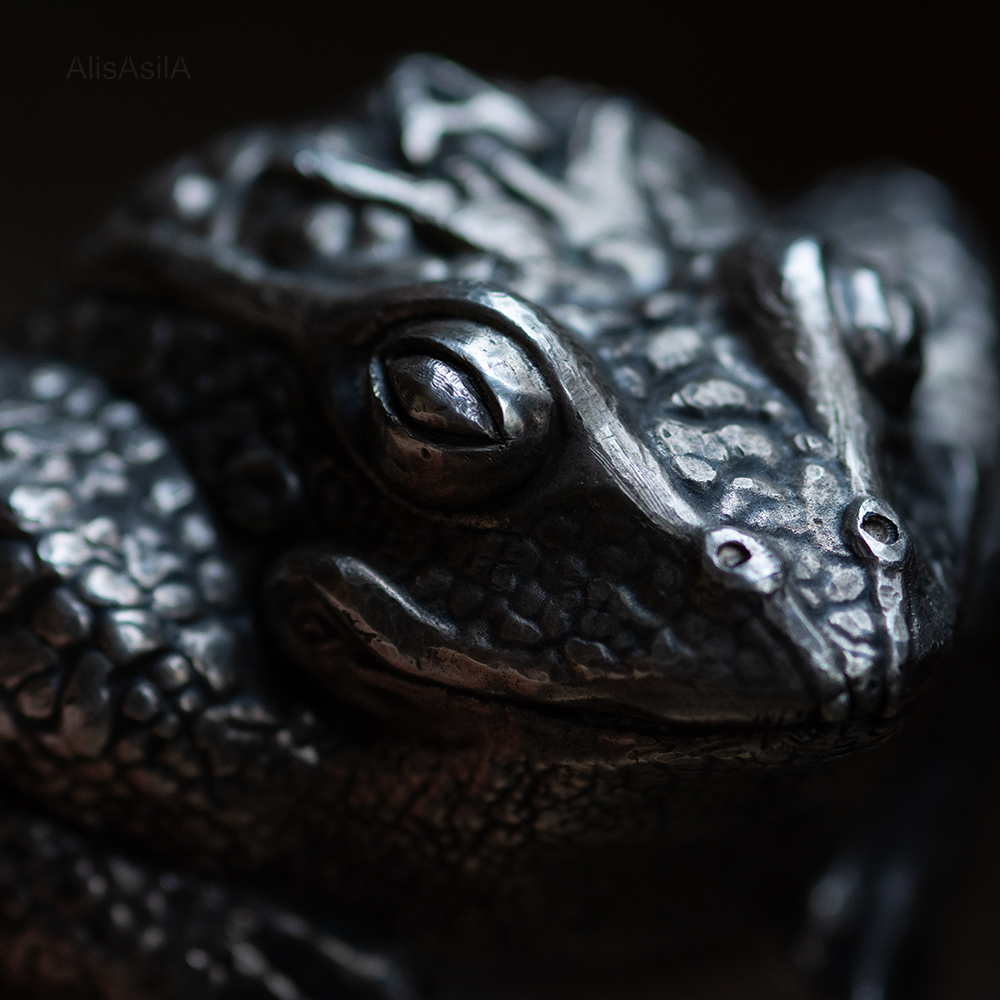 ROYAL FROG - Image 7