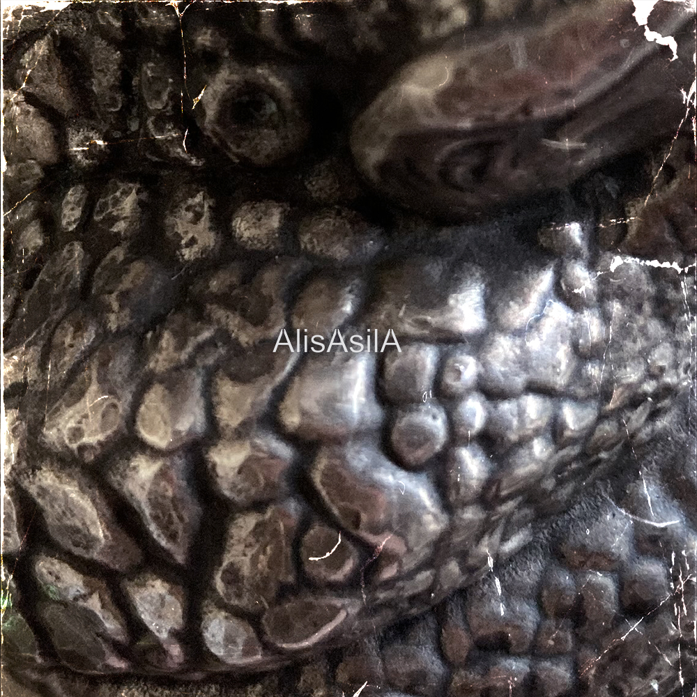 ROYAL FROG - Image 5