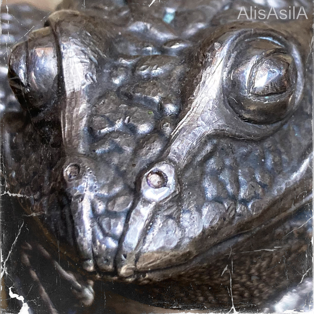 ROYAL FROG - Image 6